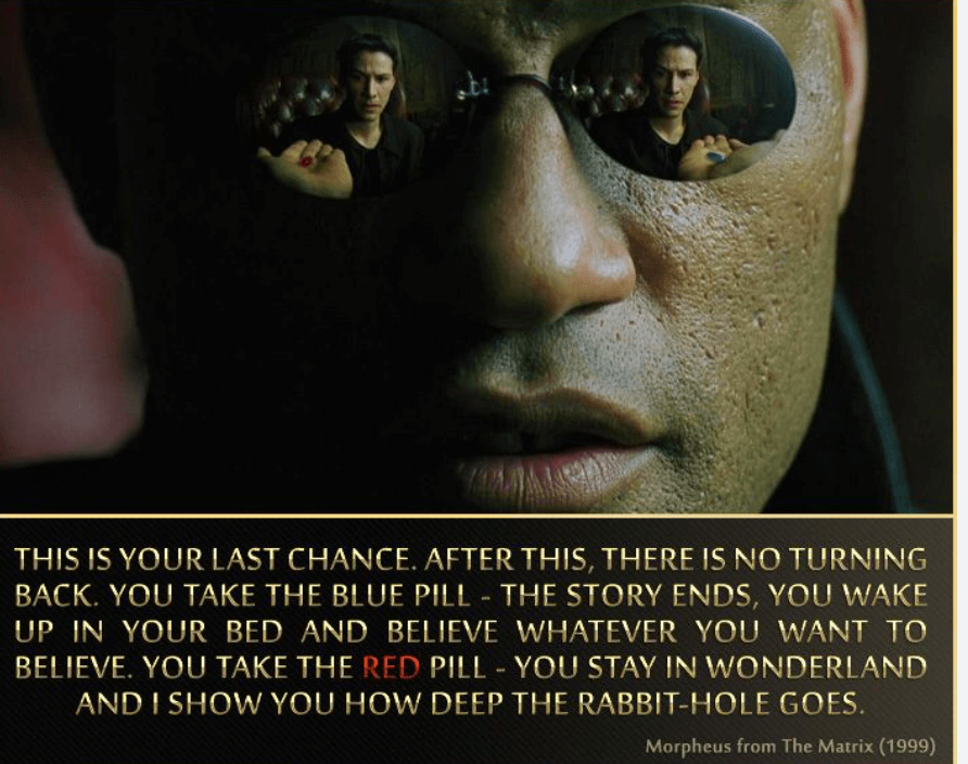 Screen Shot 2024-08-31 at 7.34.41 AM